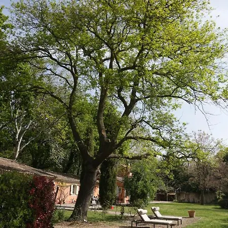 Le Pavillon - * Vedène